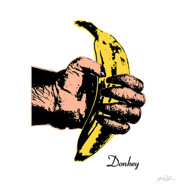 "Donkey" Print by Steve Dressler