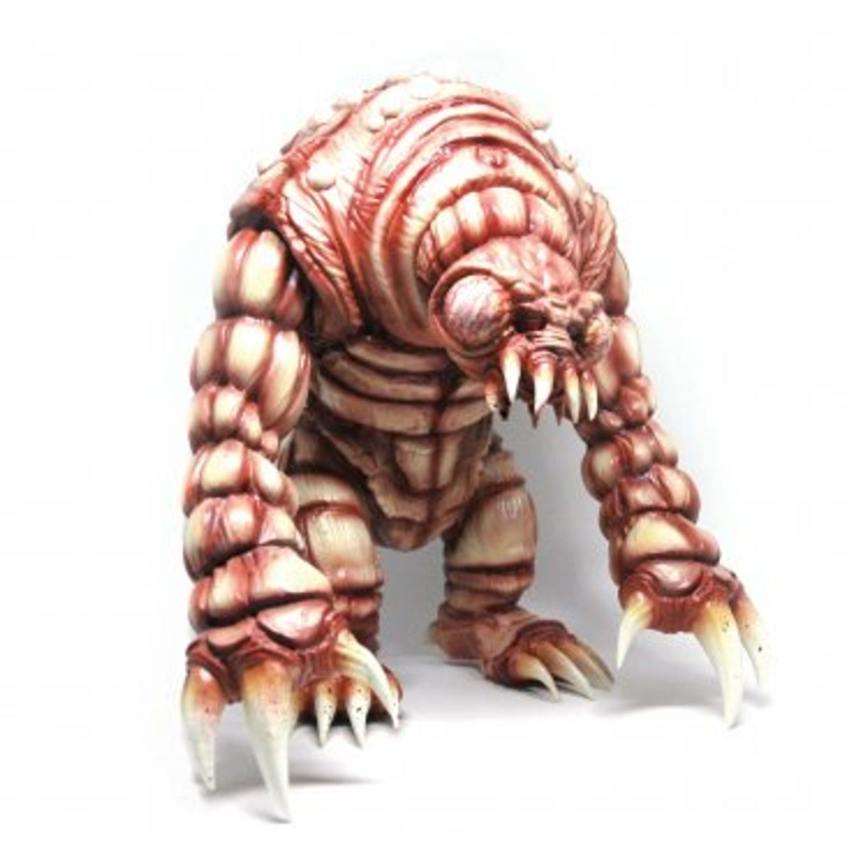 Cestoda - Blood Worm