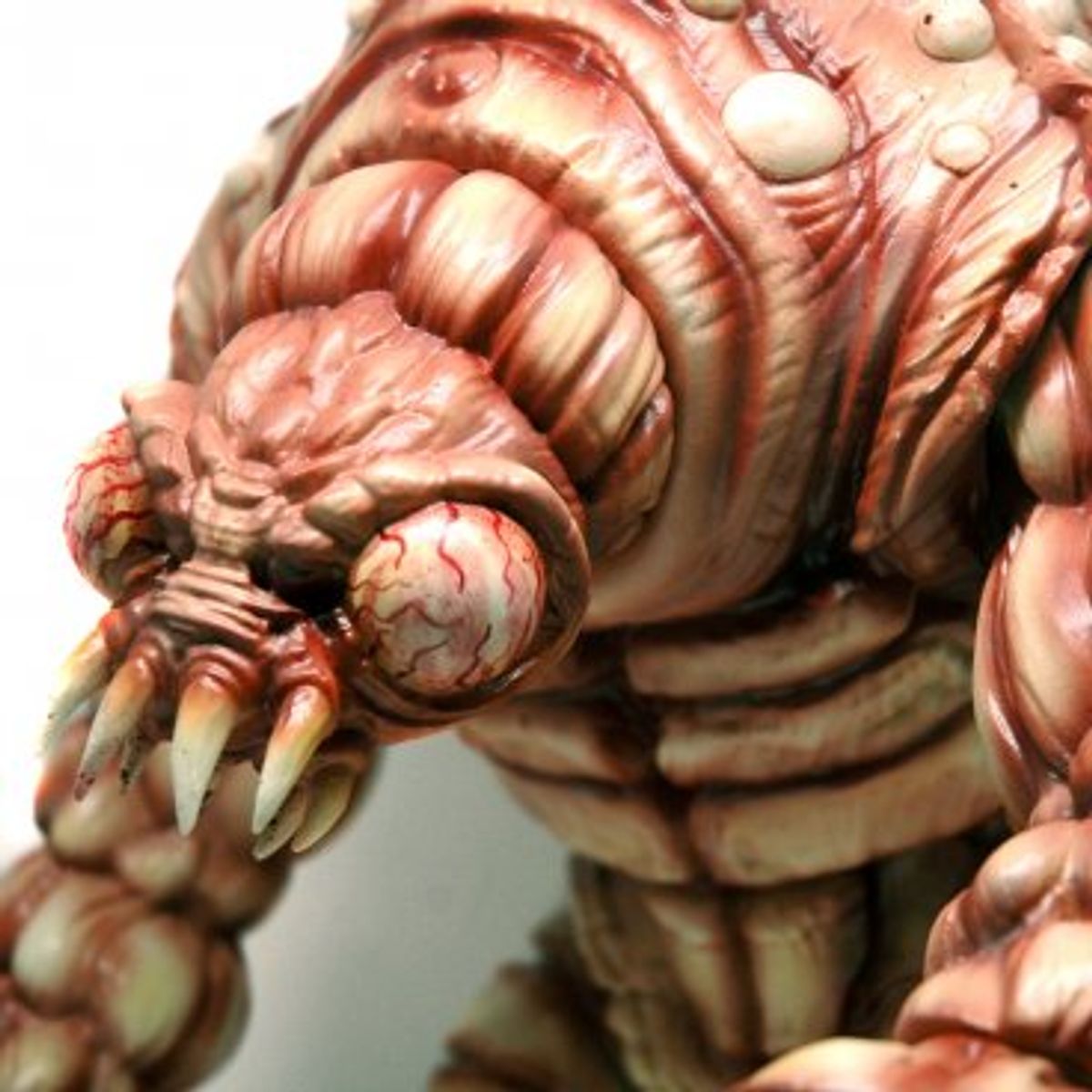 Cestoda - Blood Worm