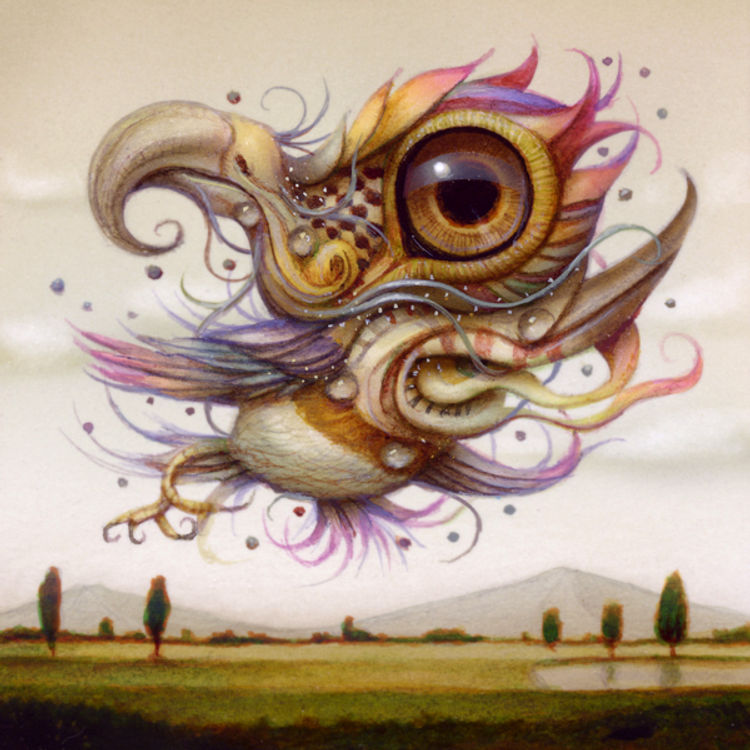 Tripping Bird 02 by Naoto Hattori