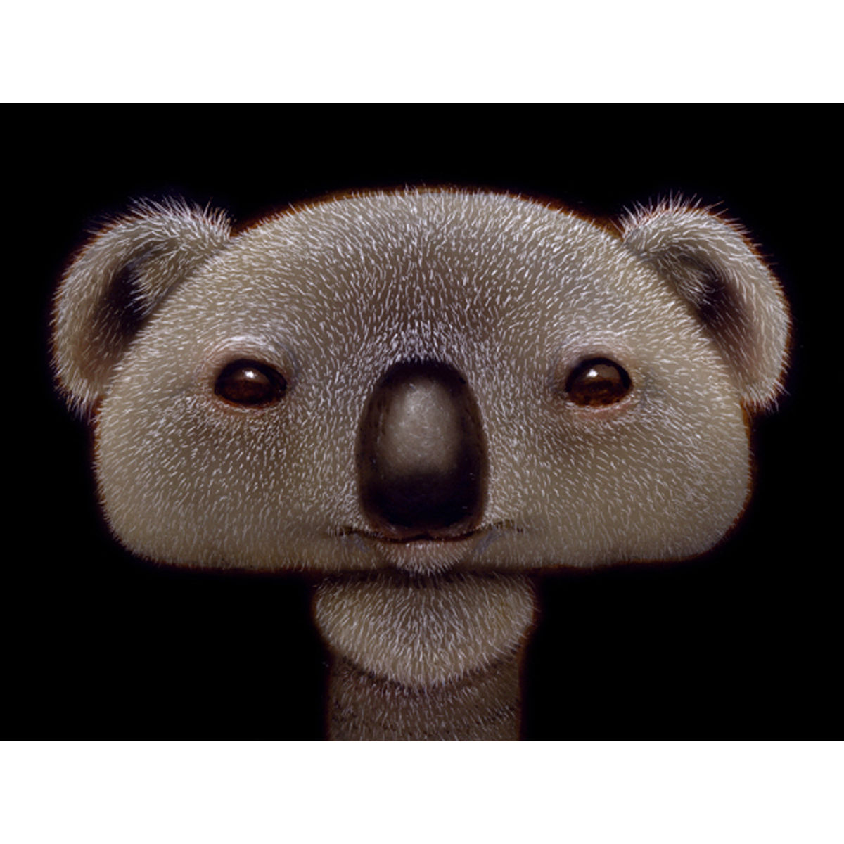 ShroomKoala