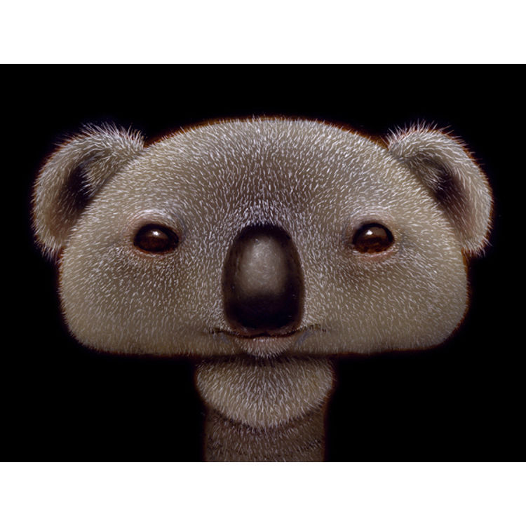 ShroomKoala by Naoto Hattori