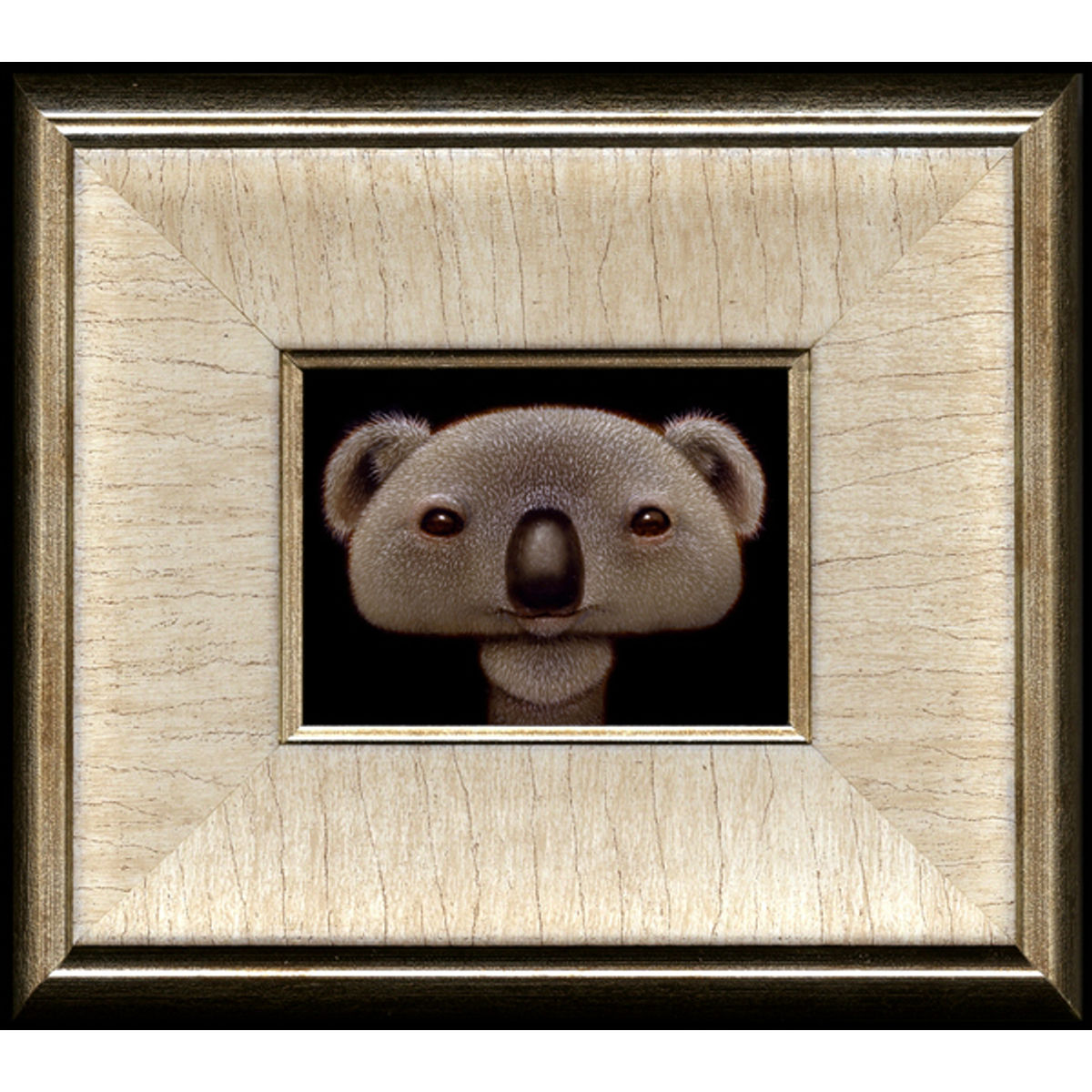 ShroomKoala