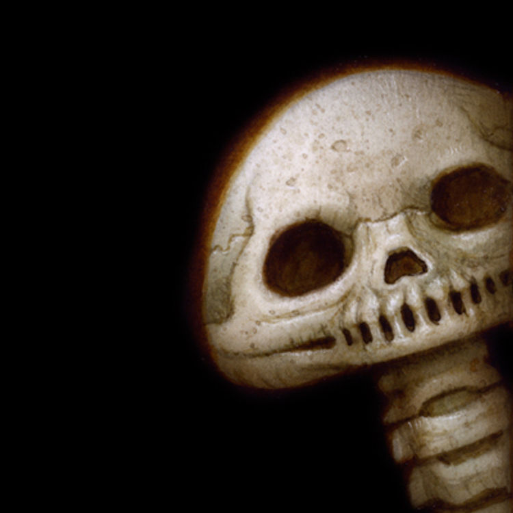 Peek045 by Naoto Hattori