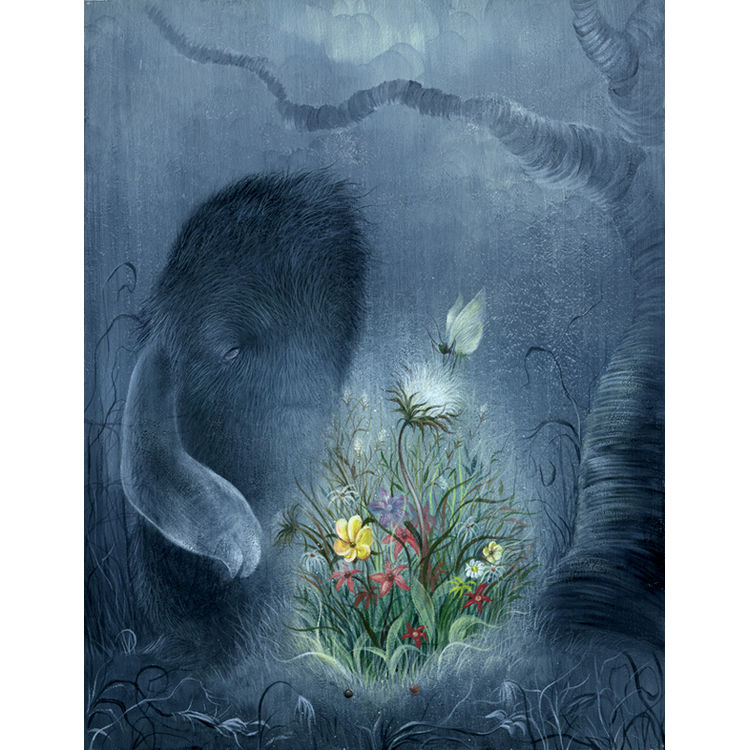 Will O Wisp by Dan May