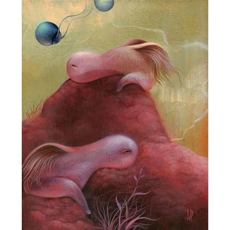 Bubblegum Siesta by Dan May