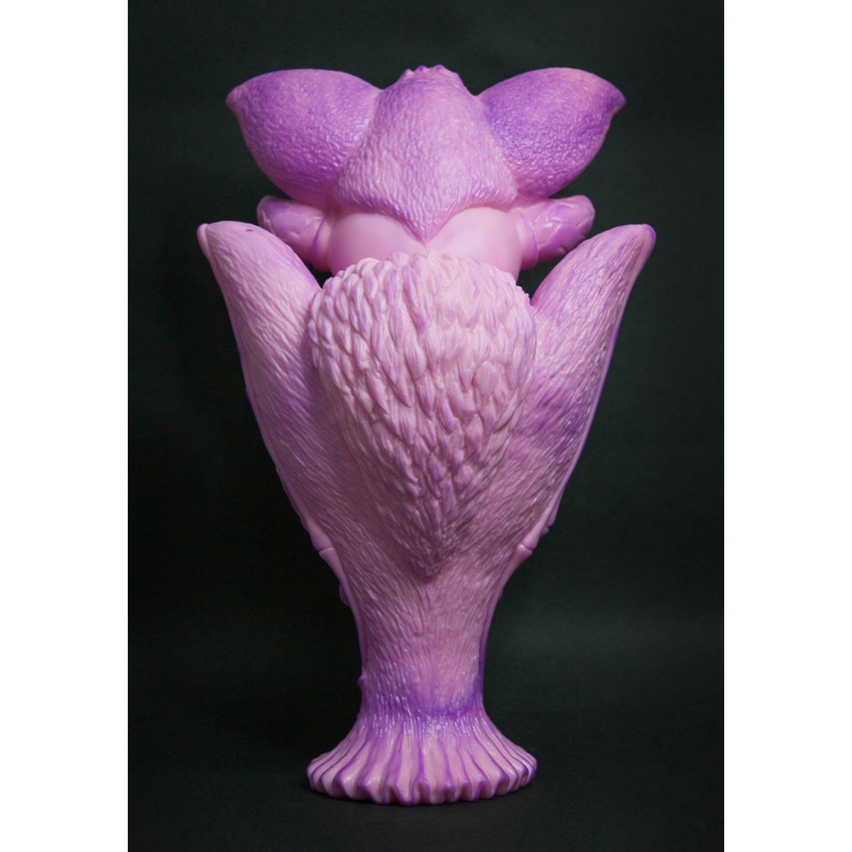 CAMAZOTZ PINK NIGHTSHADE