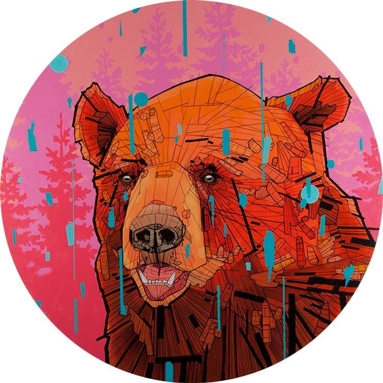 Ginger by Chris Austin