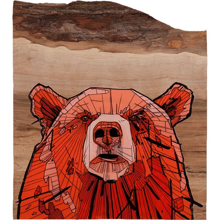 Teddy by Chris Austin