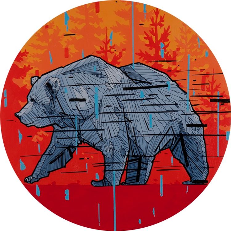 Baloo Stroll by Chris Austin