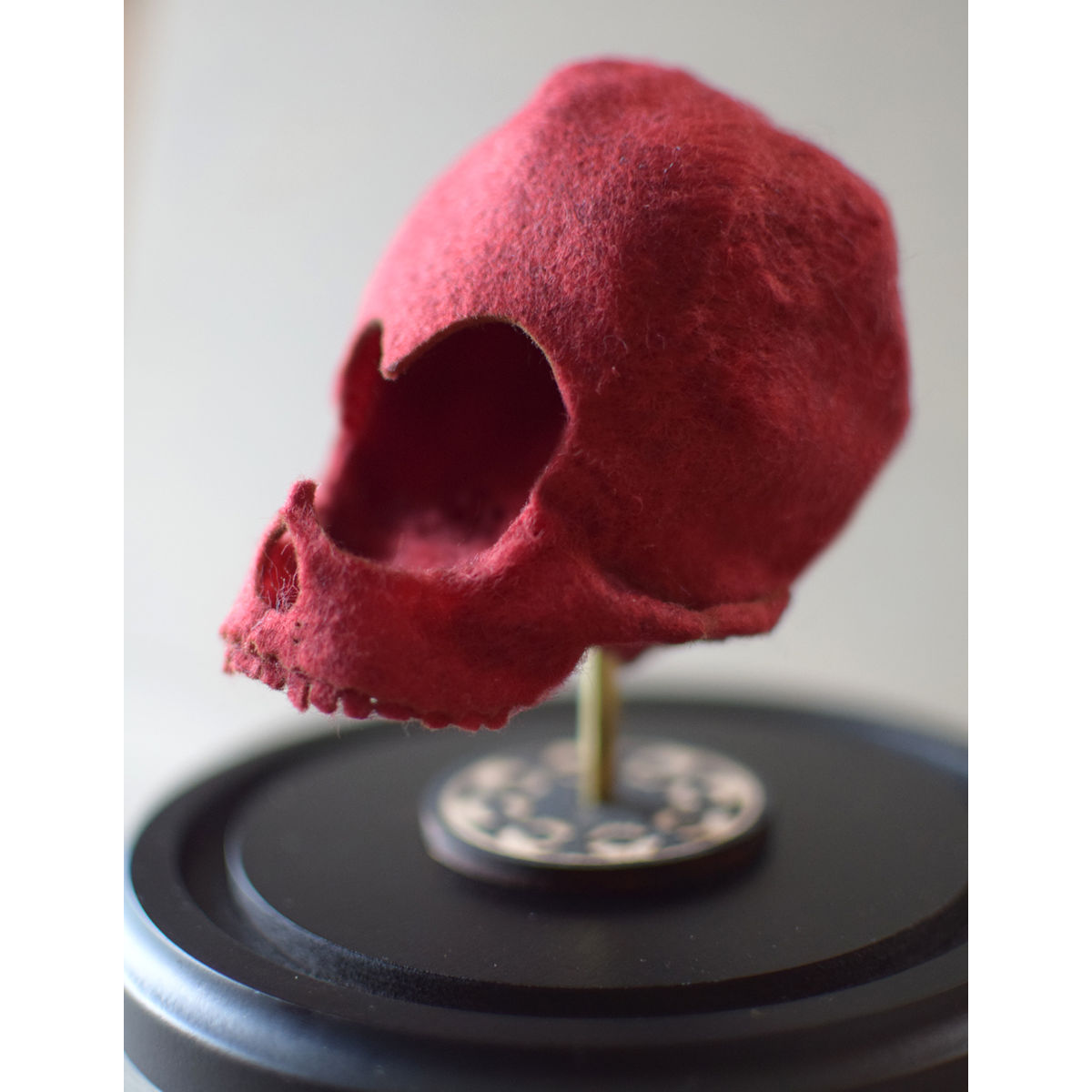 Cardiocloptic Skull