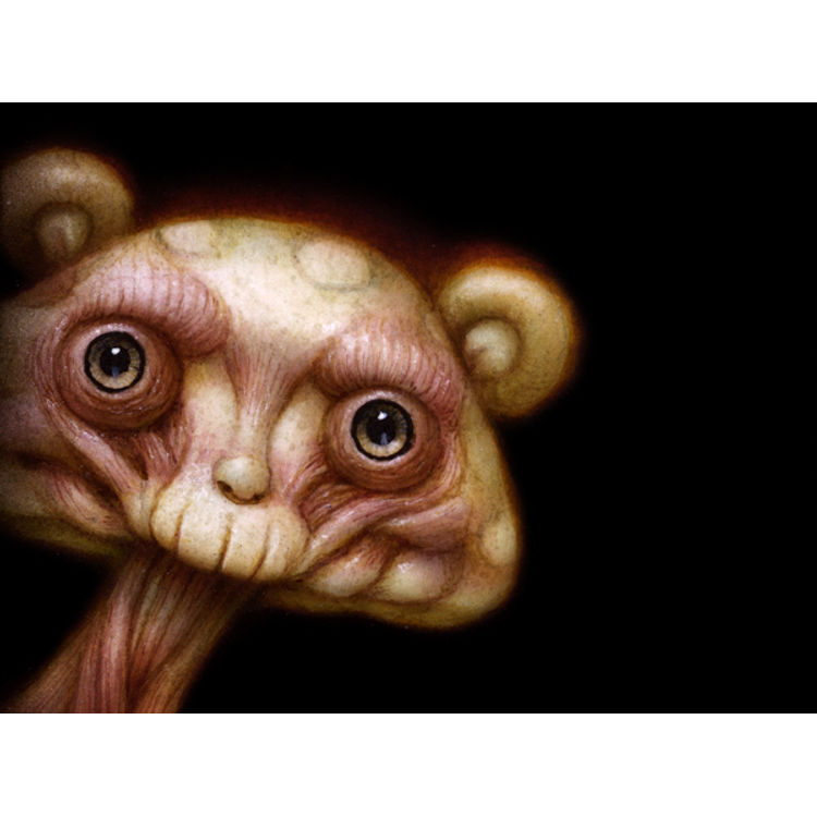 Peek 050 by Naoto Hattori