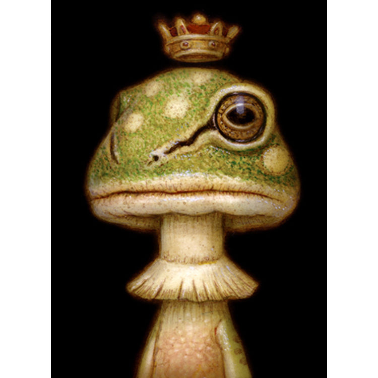 ShroomFrog by Naoto Hattori