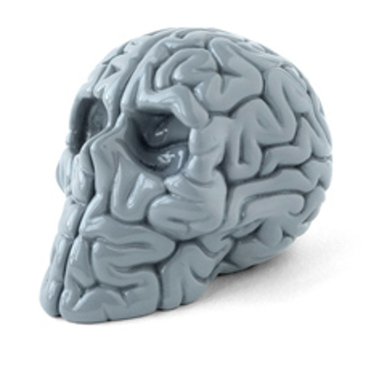 MINI SKULL BRAIN MONO EDITION