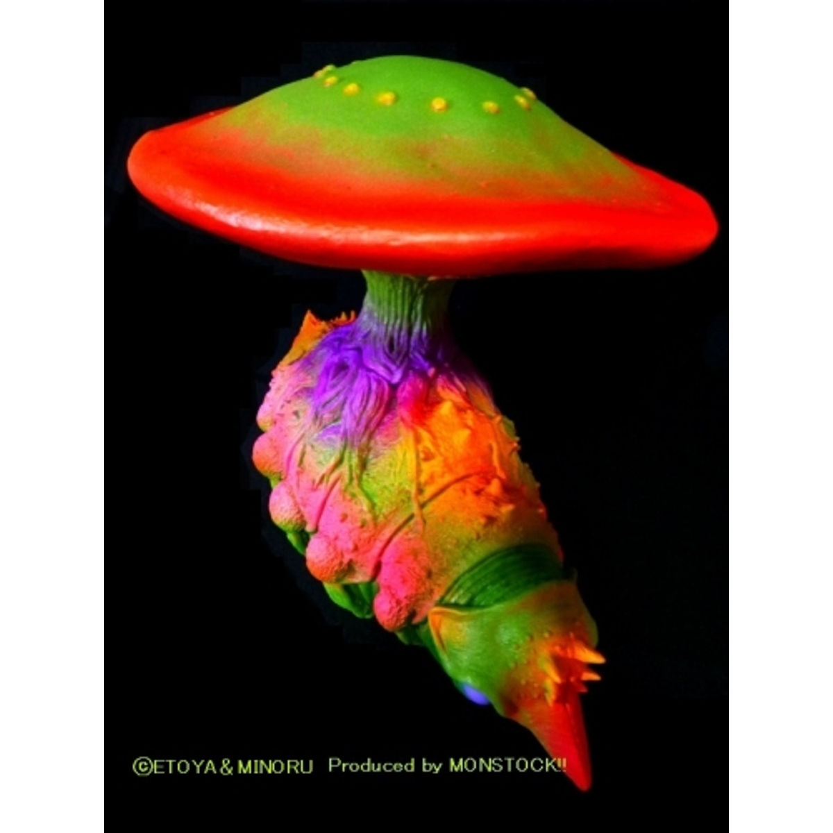 Igudoradon Cordyceps “Fantastic Beans”