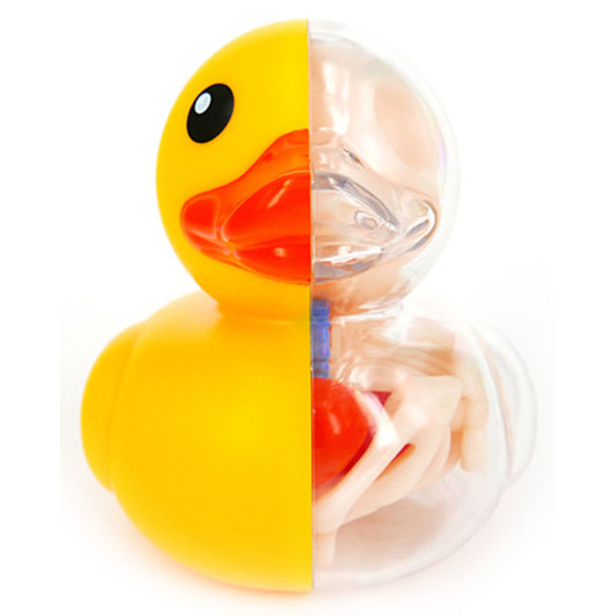 Rubber Ducky Anatomy - Original