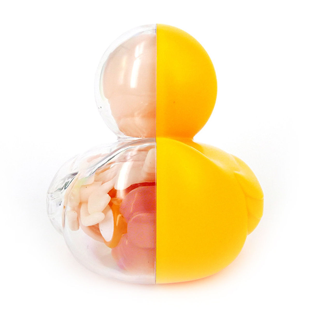 Rubber Ducky Anatomy - Original
