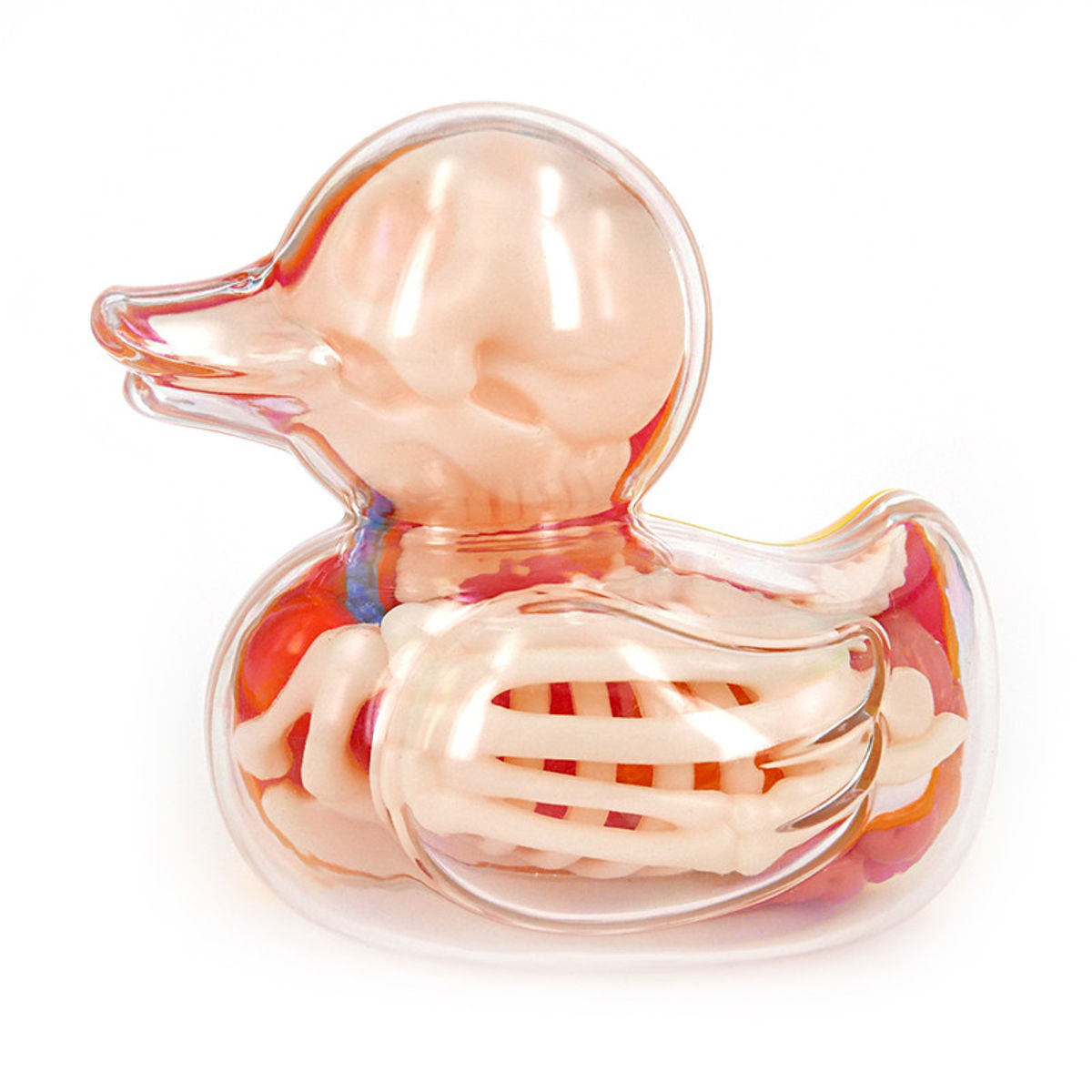 Rubber Ducky Anatomy - Original