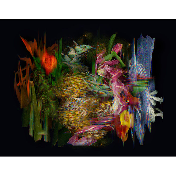 NATURE MORTE - PINEAPPLE by Katherine Melancon