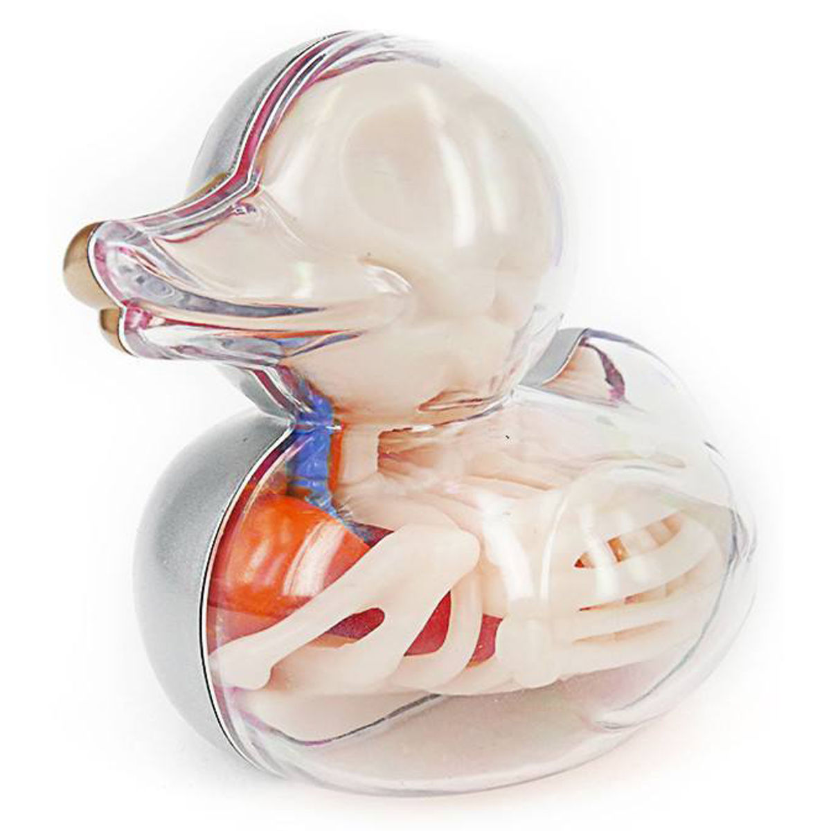 Rubber Ducky Anatomy - Silver
