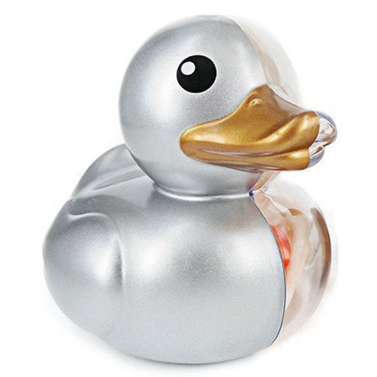 Rubber Ducky Anatomy - Silver by Jason Freeny