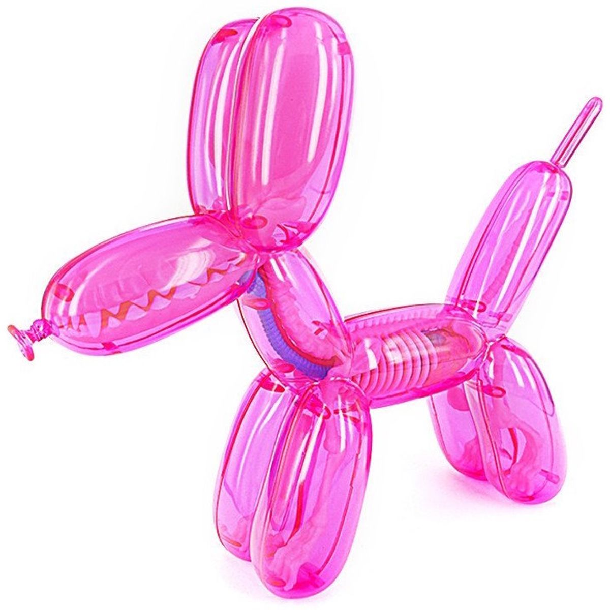 Clear Balloon Dog Funny Anatomy - Pink