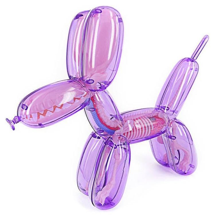 Clear Balloon Dog Funny Anatomy - Purple by Jason Freeny