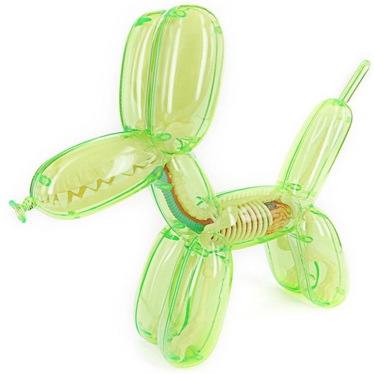 Clear Balloon Dog Funny Anatomy - Green by Jason Freeny