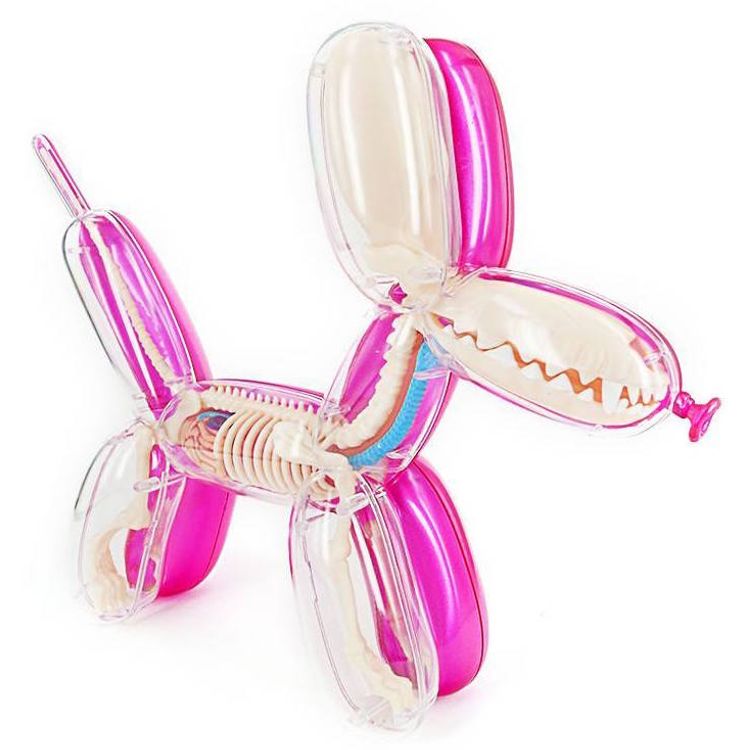 Metallic Balloon Dog Funny Anatomy - Pink by Jason Freeny