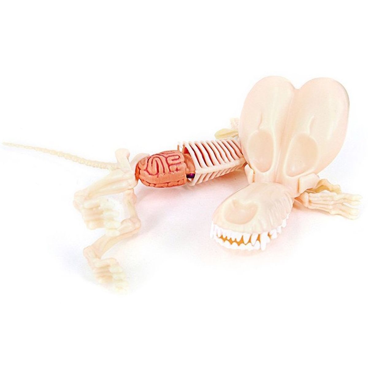 Metallic Balloon Dog Funny Anatomy - Pink