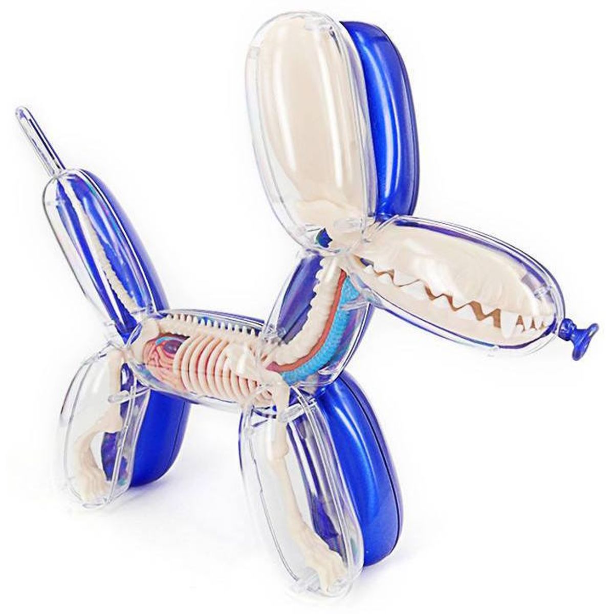 Metallic Balloon Dog Funny Anatomy - Blue