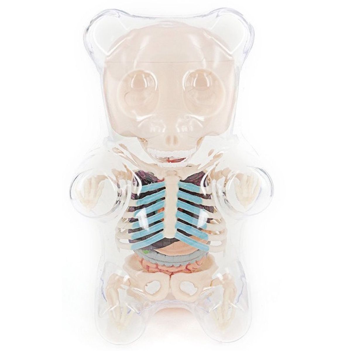 Gummi Bear Anatomy Puzzle Toy - Clear