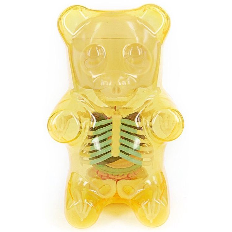 Gummi Bear Anatomy Puzzle Toy - Yellow by Jason Freeny