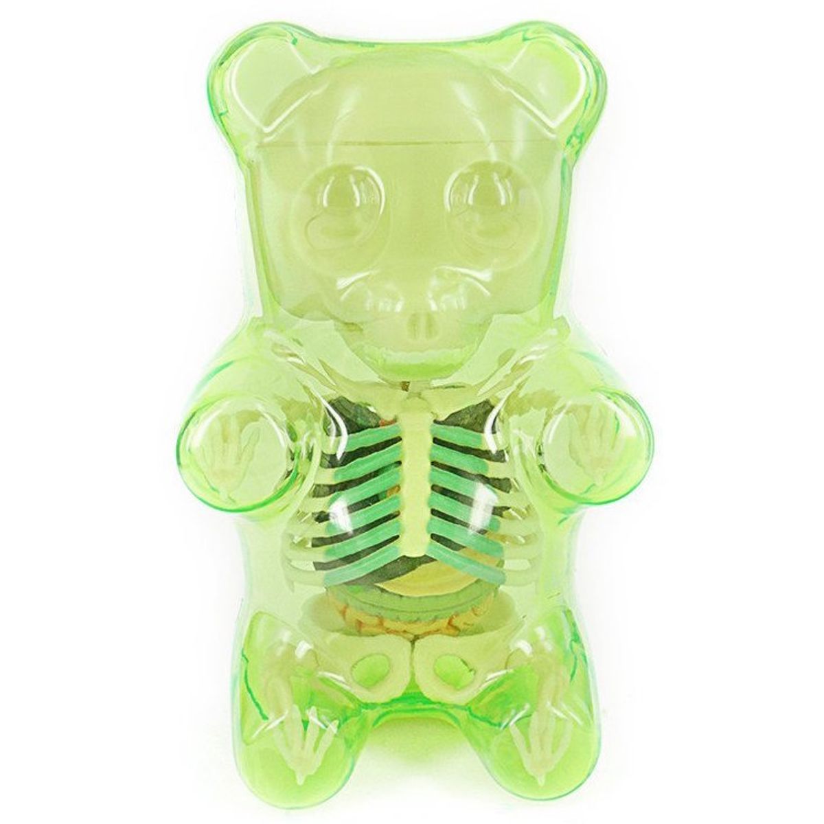Gummi Bear Anatomy Puzzle Toy - Green