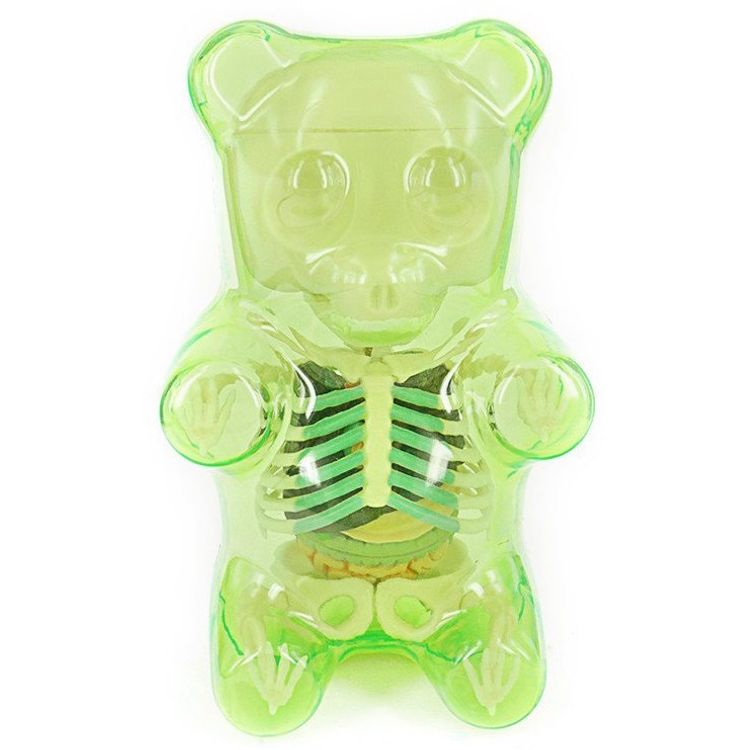 Gummi Bear Anatomy Puzzle Toy - Green by Jason Freeny