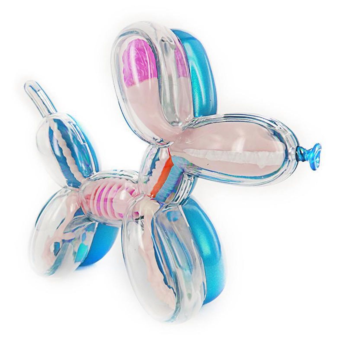 Baby Metallic Balloon Dog Funny Anatomy - Teal