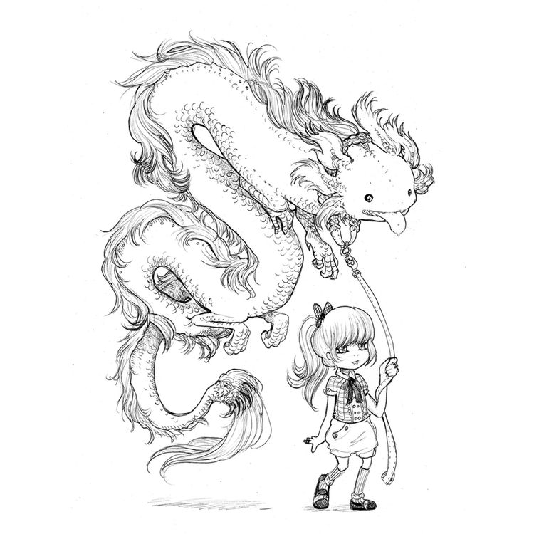 My Little Salamander by Camilla d'Errico