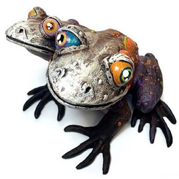 A White-Nosed, Two-Headed Anura Leeciferus by Leecifer