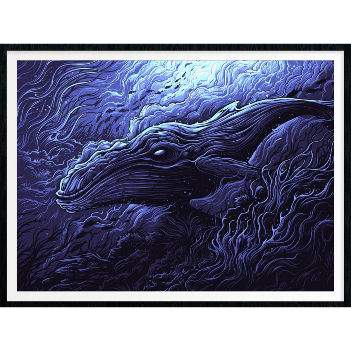 Megaptera Novaeangliae (Variant)