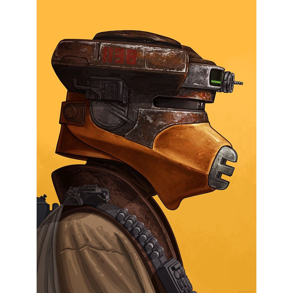 Princess Leia (Boushh)