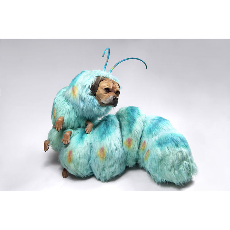 Pugglepillar by Jim McKenzie
