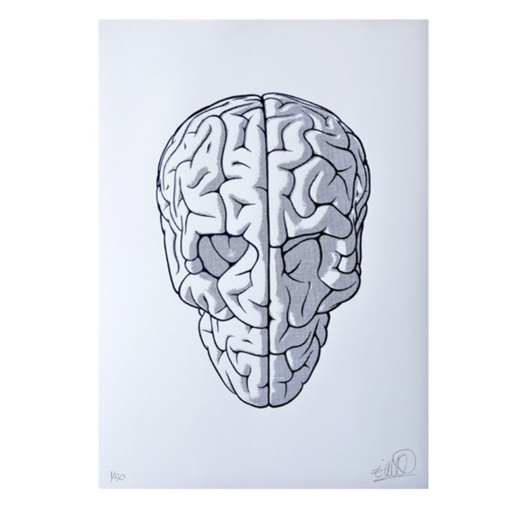SKULL BRAIN PRINT by Emilio Garcia
