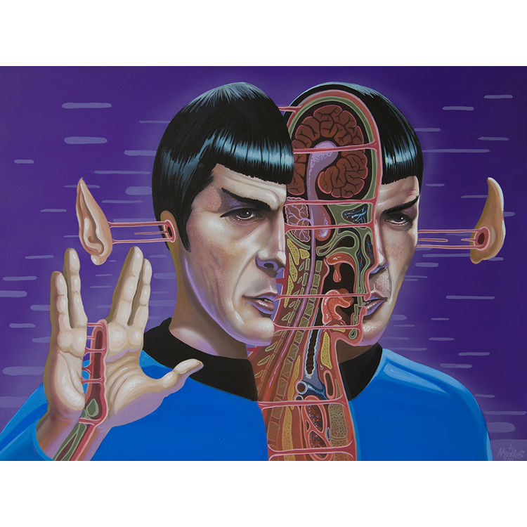 Dissection of Spock by Nychos