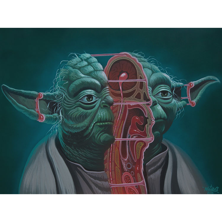 Dissection of Yoda by Nychos