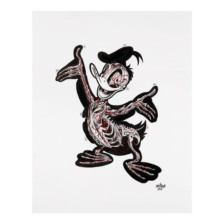 X-Ray of Donald by Nychos