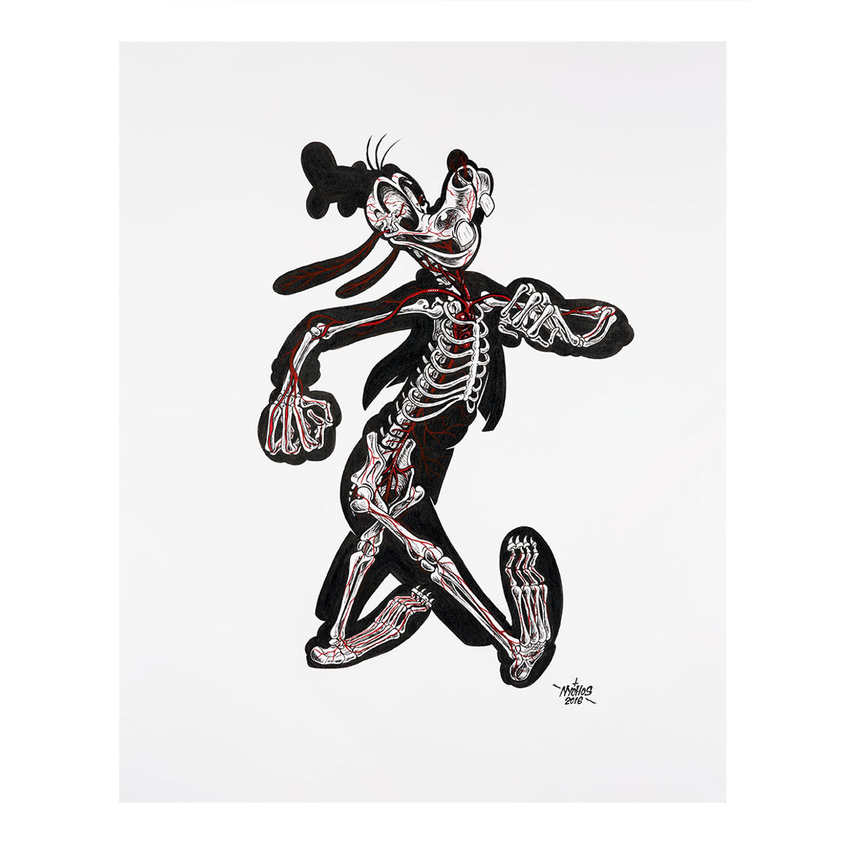 X-Ray of Goofy