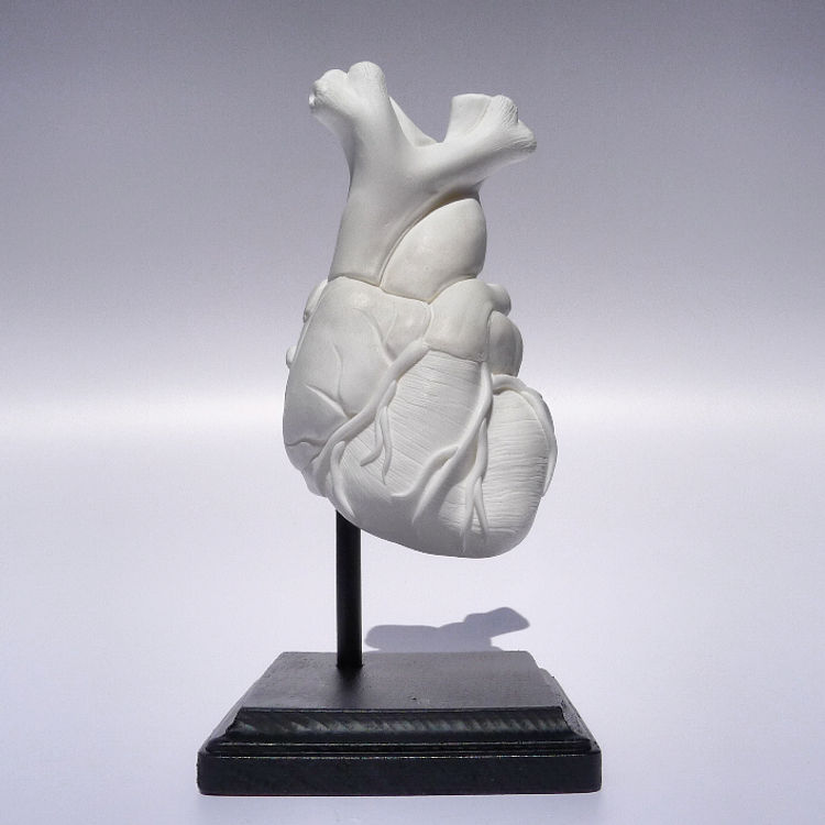 Do Not Fade Away: Heart by Blessed Blessed Oblivion (Brent Nolasco)