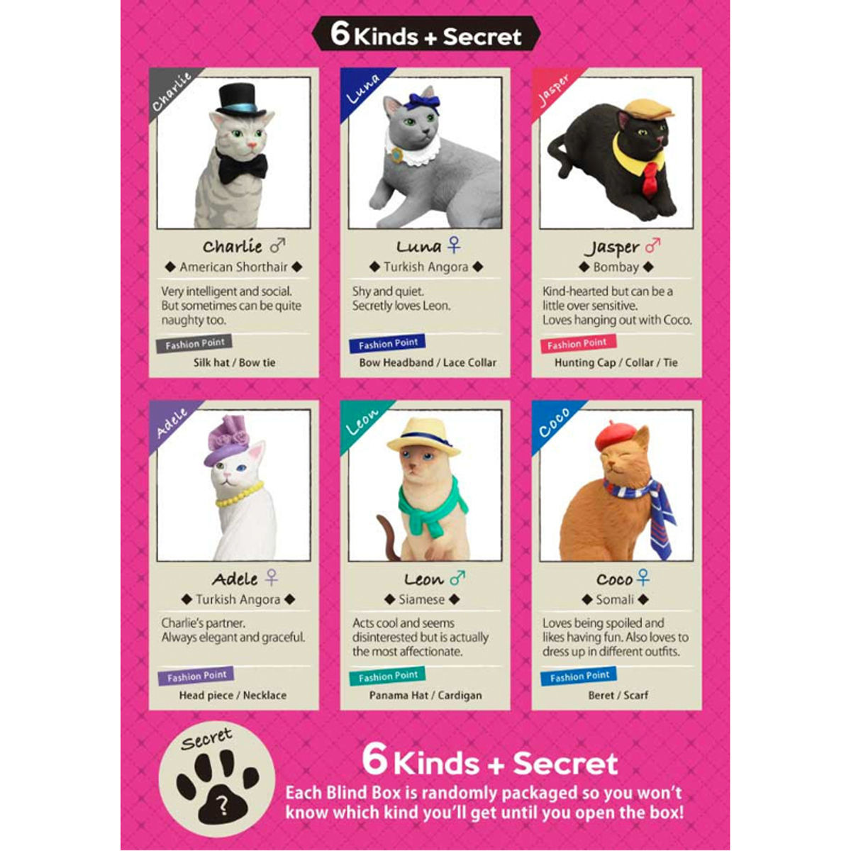 Amy's Favorite Cat Blind Box