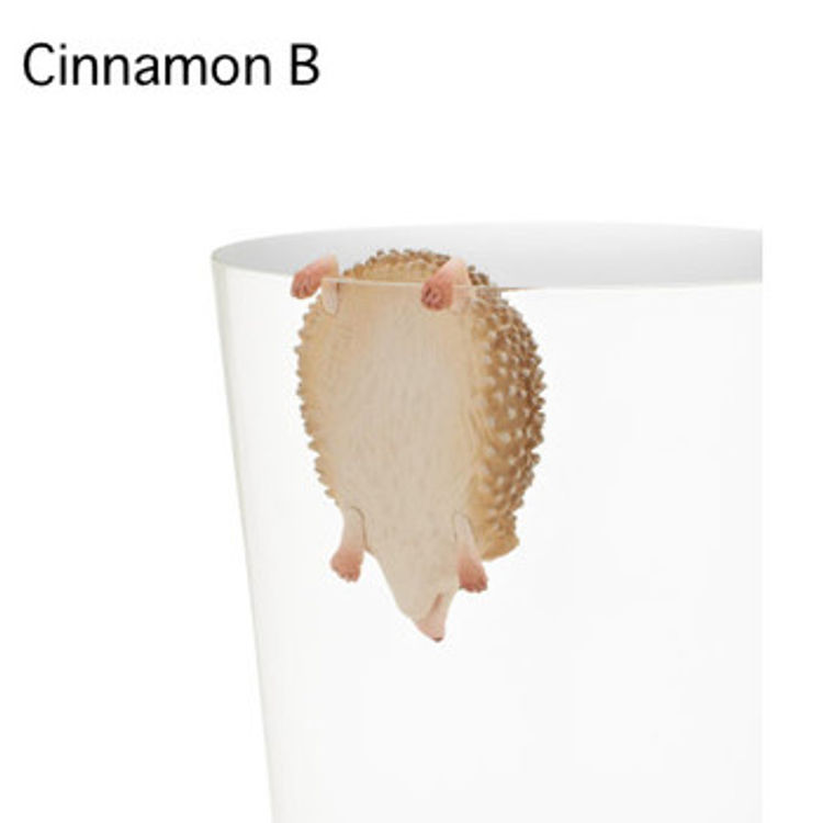 Putitto Hedgehog: Cinnamon B by Kitan