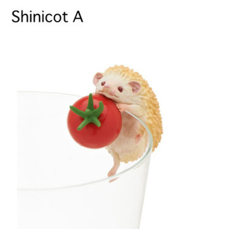 Putitto Hedgehog: Shinicot A by Kitan